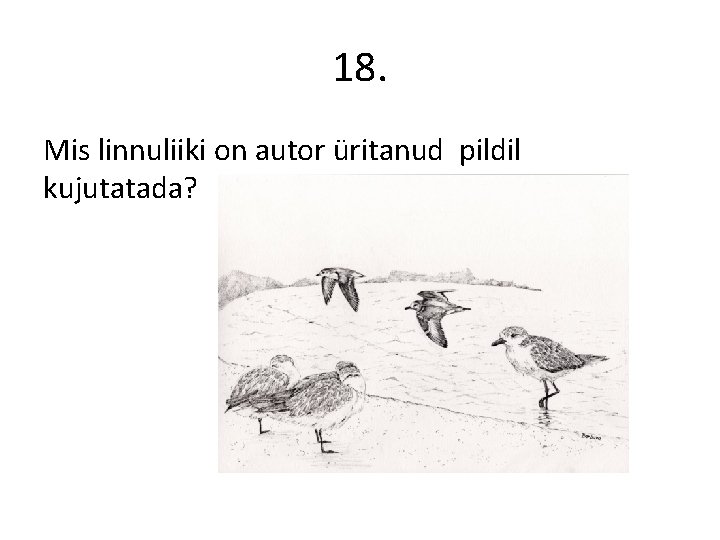 18. Mis linnuliiki on autor üritanud pildil kujutatada? 