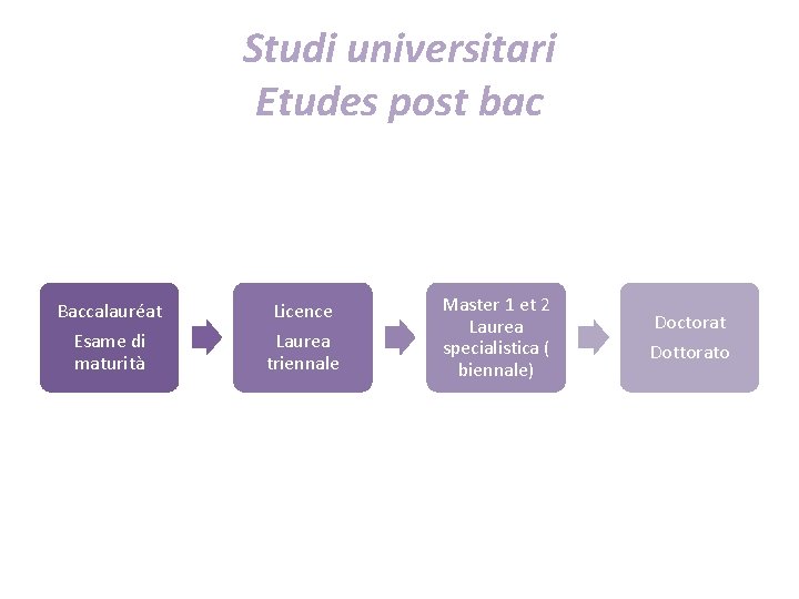 Studi universitari Etudes post bac Baccalauréat Esame di maturità Licence Laurea triennale Master 1