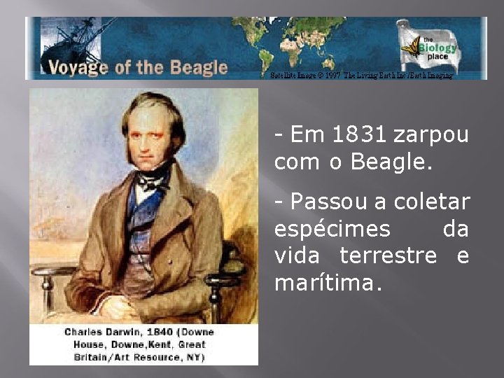 - Em 1831 zarpou com o Beagle. - Passou a coletar espécimes da vida