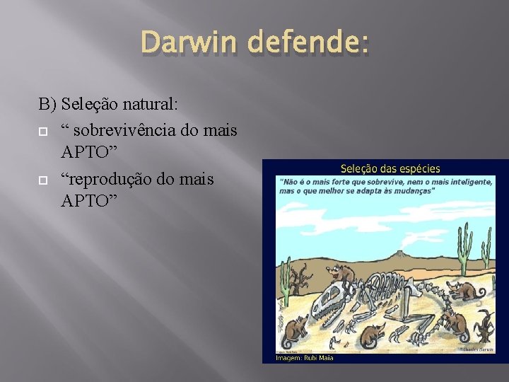 Darwin defende: B) Seleção natural: “ sobrevivência do mais APTO” “reprodução do mais APTO”