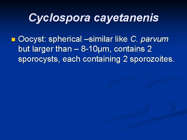 Cyclospora cayetanenis n Oocyst: spherical –similar like C. parvum but larger than – 8