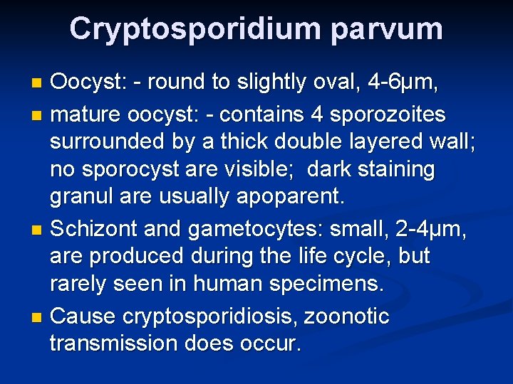 Cryptosporidium parvum Oocyst: - round to slightly oval, 4 -6µm, n mature oocyst: -