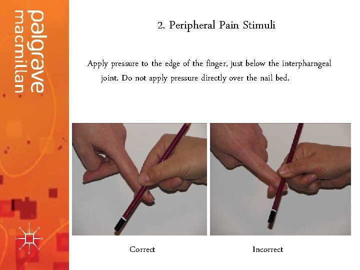 2. Peripheral Pain Stimuli Apply pressure to the edge of the finger, just below