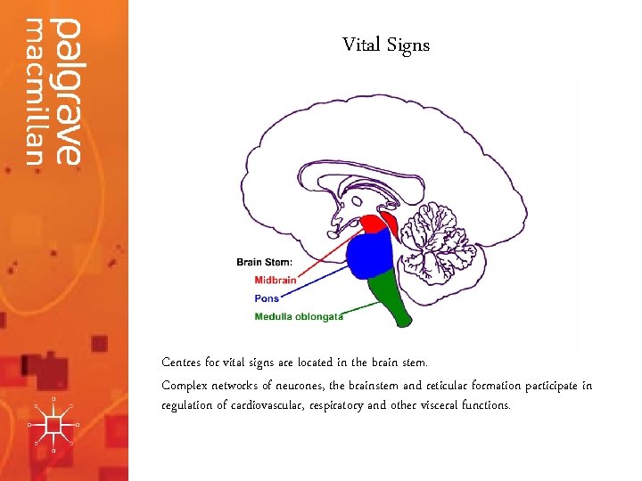 Vital Signs Centres for vital signs are located in the brain stem. Complex networks