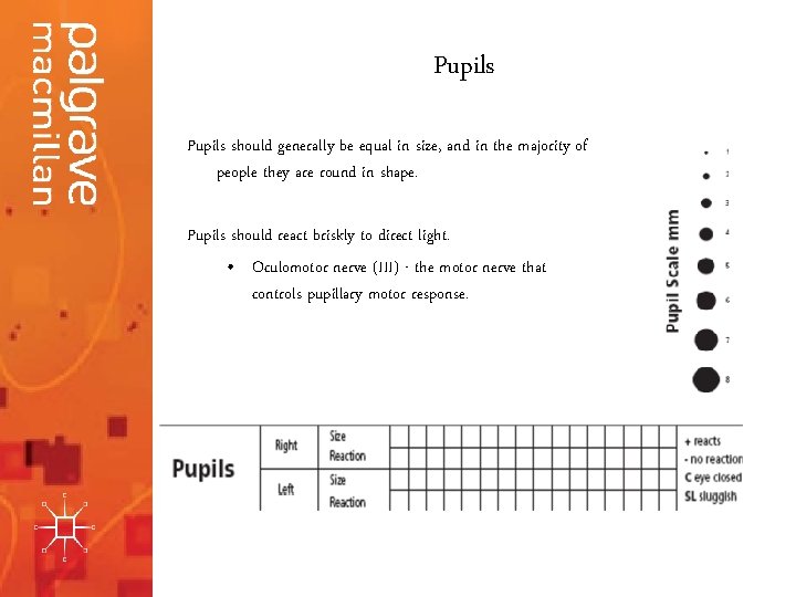 Pupils should generally be equal in size, and in the majority of people they