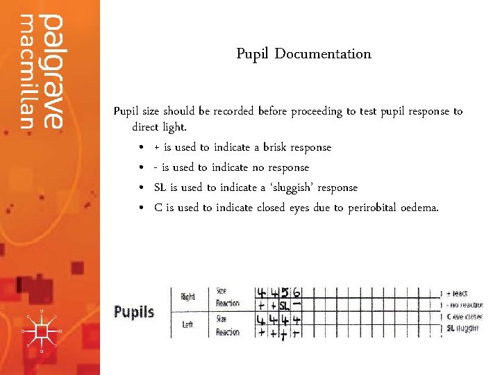 Pupil Documentation Pupil size should be recorded before proceeding to test pupil response to