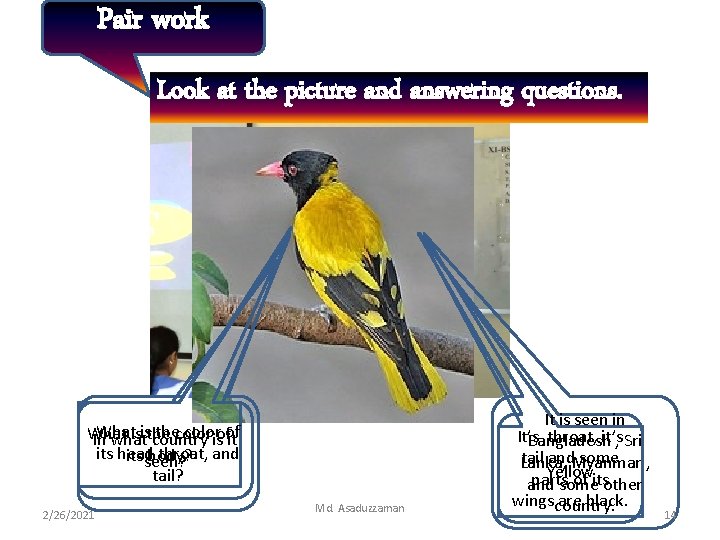 Pair work Look at the picture and answering questions. What thecolorisofof What isisthe In