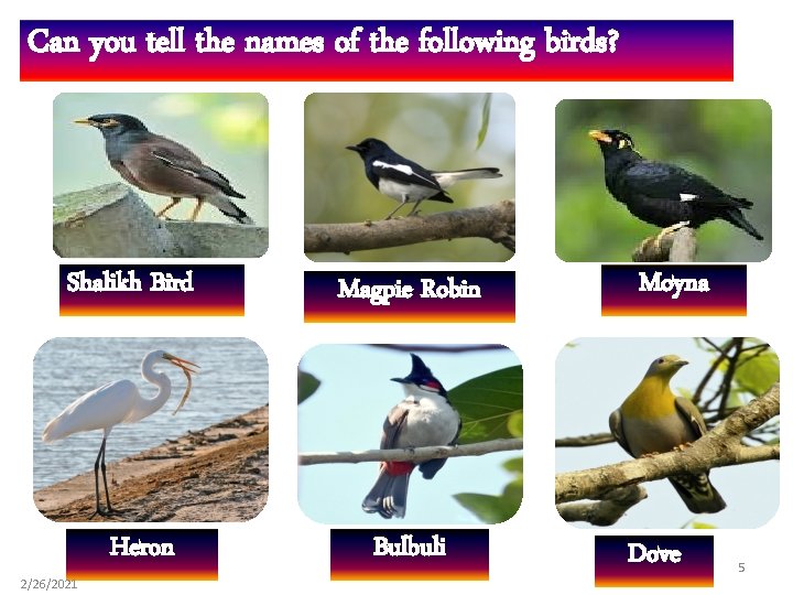 Can you tell the names of the following birds? Shalikh Bird 2/26/2021 Heron Magpie