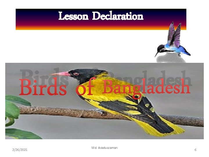 Lesson Declaration Birds of Bangladesh 2/26/2021 Md. Asaduzzaman 6 