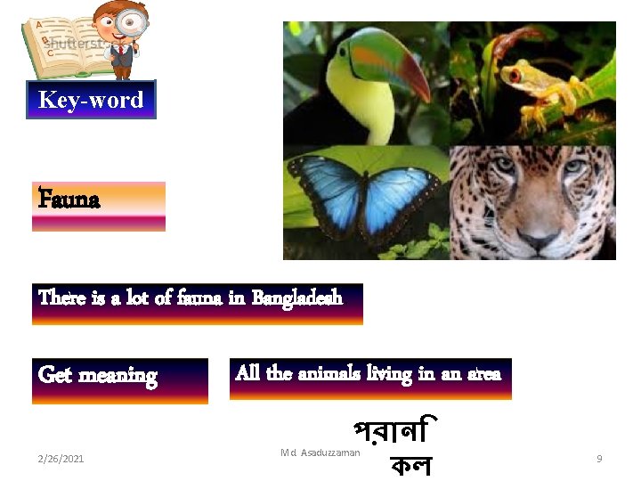 Key-word Fauna There is a lot of fauna in Bangladesh. Get meaning 2/26/2021 All