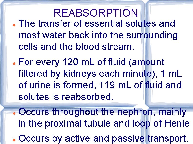 REABSORPTION The transfer of essential solutes and most water back into the surrounding cells