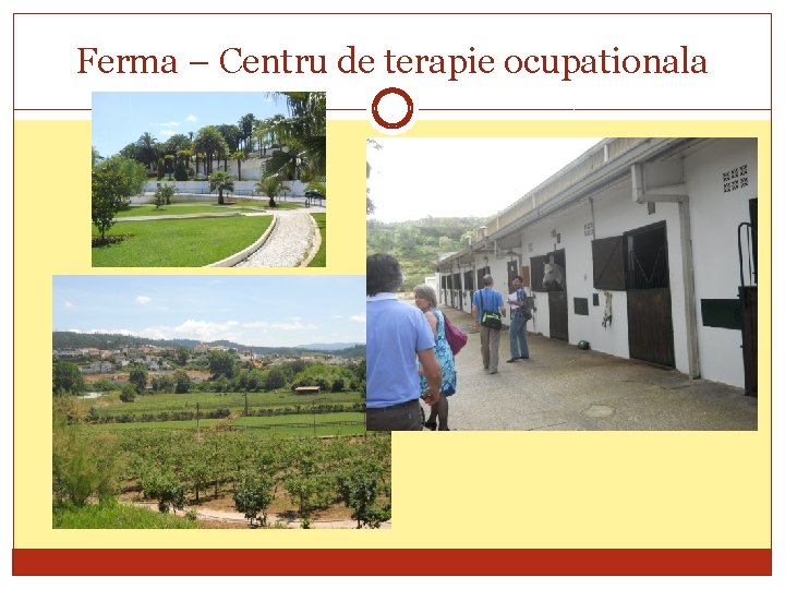 Ferma – Centru de terapie ocupationala 