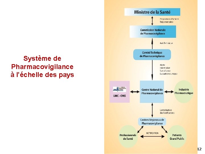 Système de Pharmacovigilance à l’échelle des pays 12 