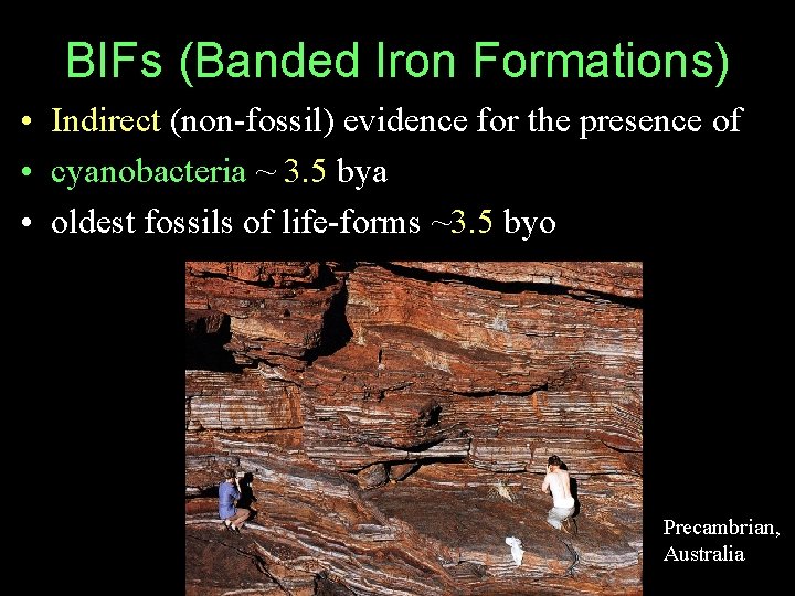 BIFs (Banded Iron Formations) • Indirect (non-fossil) evidence for the presence of • cyanobacteria