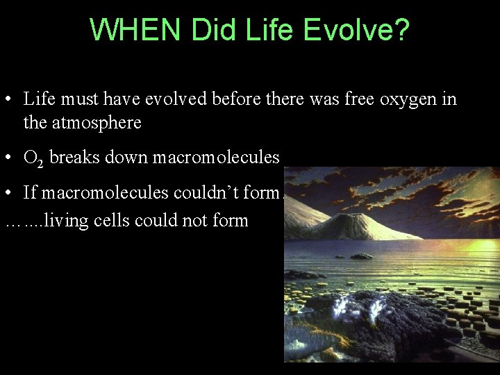 WHEN Did Life Evolve? • Life must have evolved before there was free oxygen