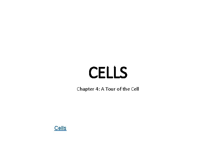 CELLS Chapter 4: A Tour of the Cells 