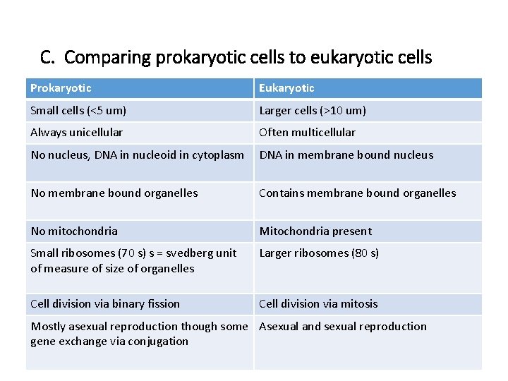 C. Comparing prokaryotic cells to eukaryotic cells Prokaryotic Eukaryotic Small cells (<5 um) Larger