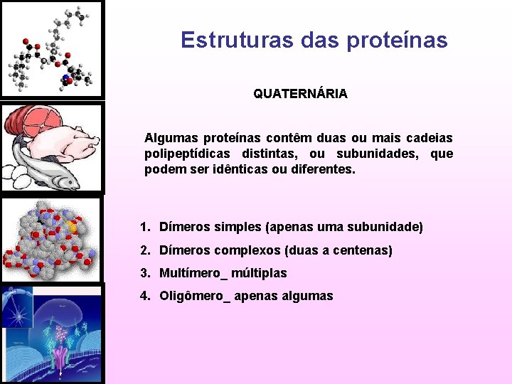 Estruturas das proteínas QUATERNÁRIA Algumas proteínas contêm duas ou mais cadeias polipeptídicas distintas, ou