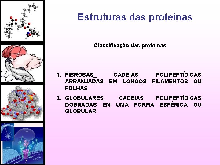 Estruturas das proteínas Classificação das proteínas 1. FIBROSAS_ CADEIAS POLIPEPTÍDICAS ARRANJADAS EM LONGOS FILAMENTOS
