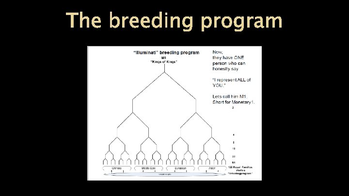 The breeding program 
