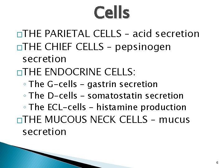 Cells �THE PARIETAL CELLS – acid secretion �THE CHIEF CELLS – pepsinogen secretion �THE