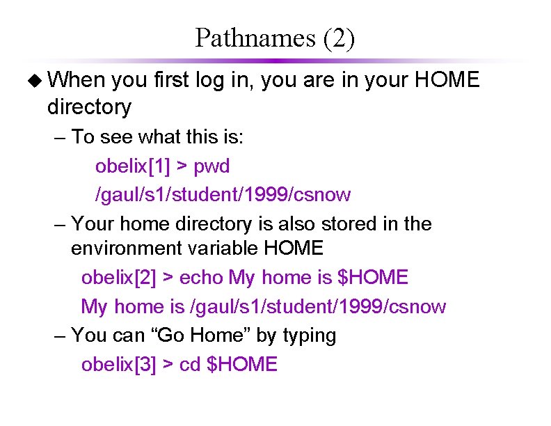 Pathnames (2) u When you first log in, you are in your HOME directory