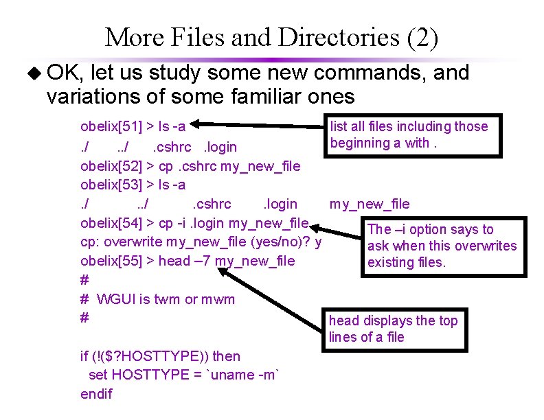 More Files and Directories (2) u OK, let us study some new commands, and