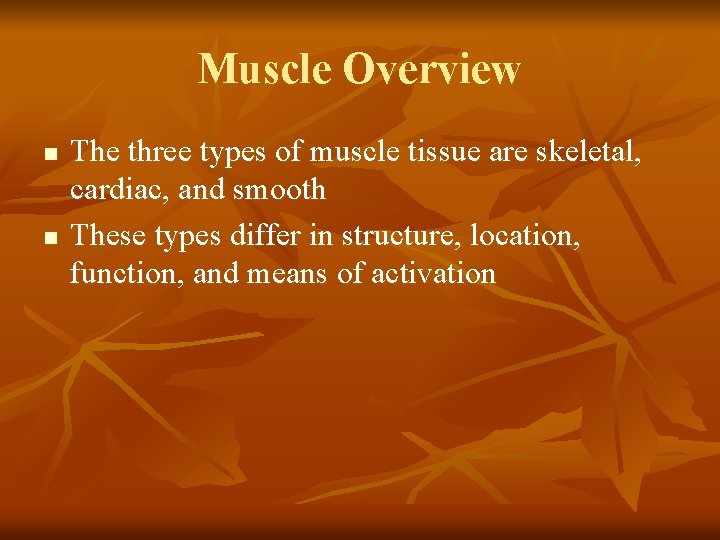 Muscle Overview n n The three types of muscle tissue are skeletal, cardiac, and