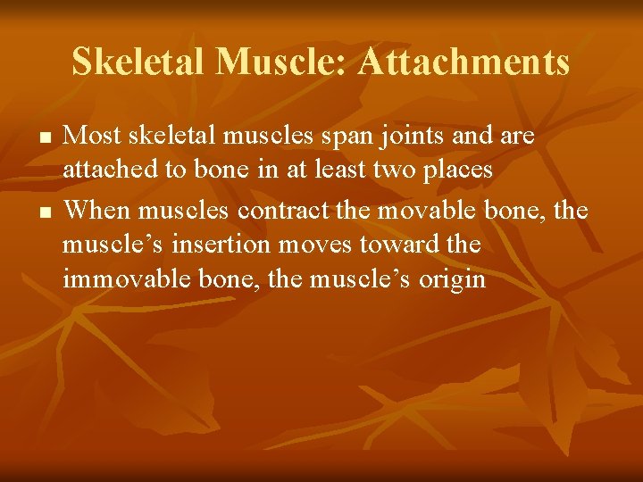 Skeletal Muscle: Attachments n n Most skeletal muscles span joints and are attached to