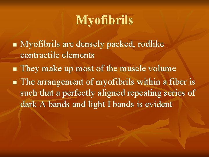 Myofibrils n n n Myofibrils are densely packed, rodlike contractile elements They make up