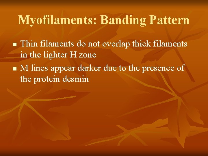 Myofilaments: Banding Pattern n n Thin filaments do not overlap thick filaments in the