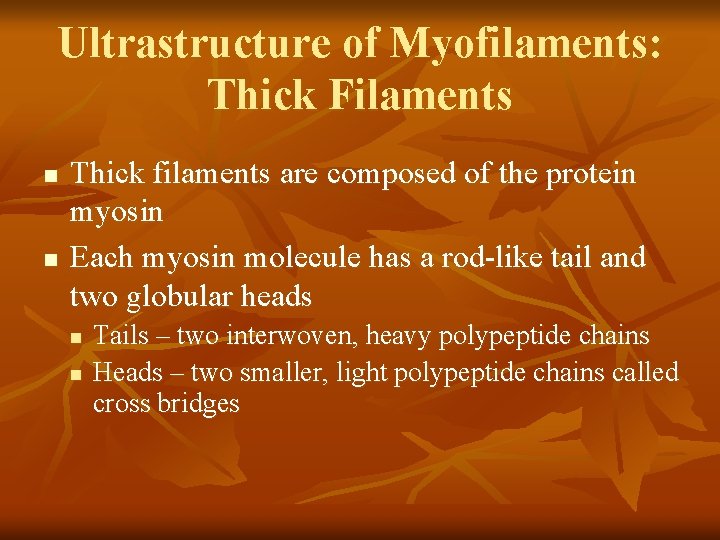 Ultrastructure of Myofilaments: Thick Filaments n n Thick filaments are composed of the protein