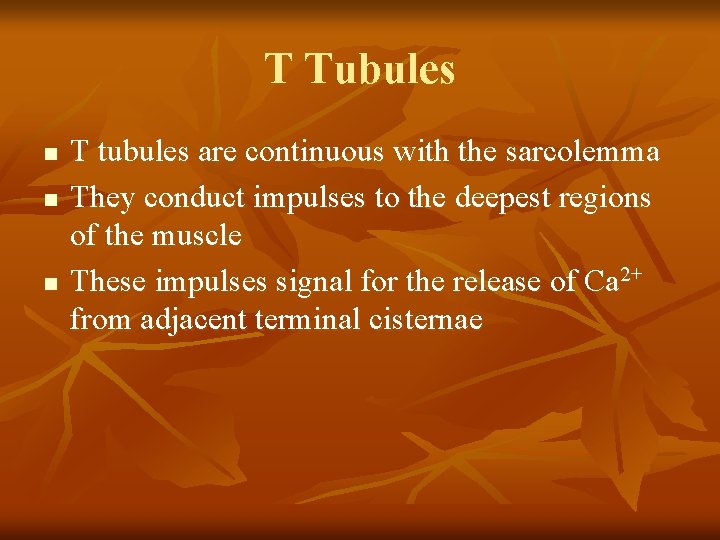 T Tubules n n n T tubules are continuous with the sarcolemma They conduct