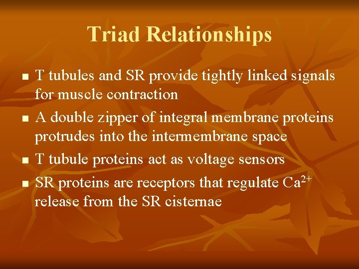 Triad Relationships n n T tubules and SR provide tightly linked signals for muscle