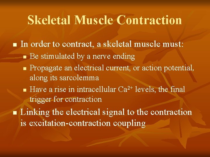 Skeletal Muscle Contraction n In order to contract, a skeletal muscle must: n n