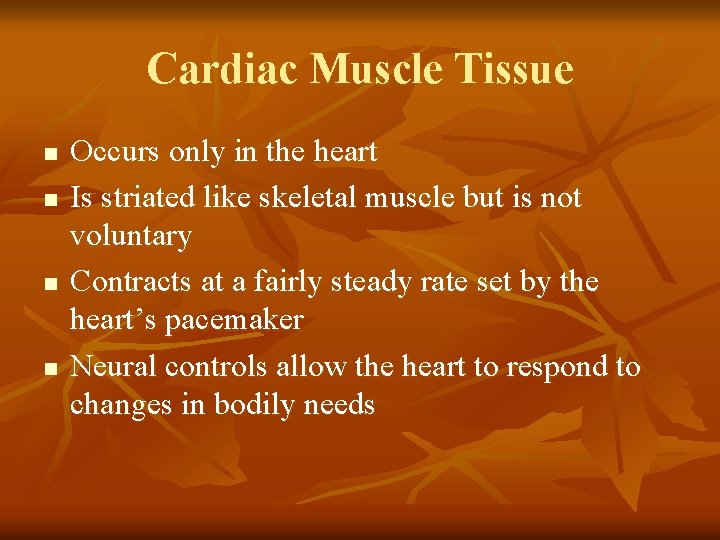 Cardiac Muscle Tissue n n Occurs only in the heart Is striated like skeletal