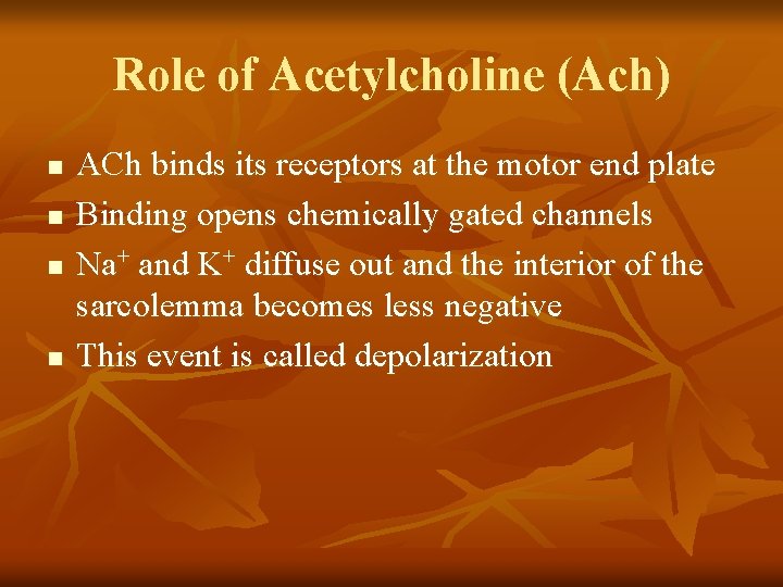 Role of Acetylcholine (Ach) n n ACh binds its receptors at the motor end