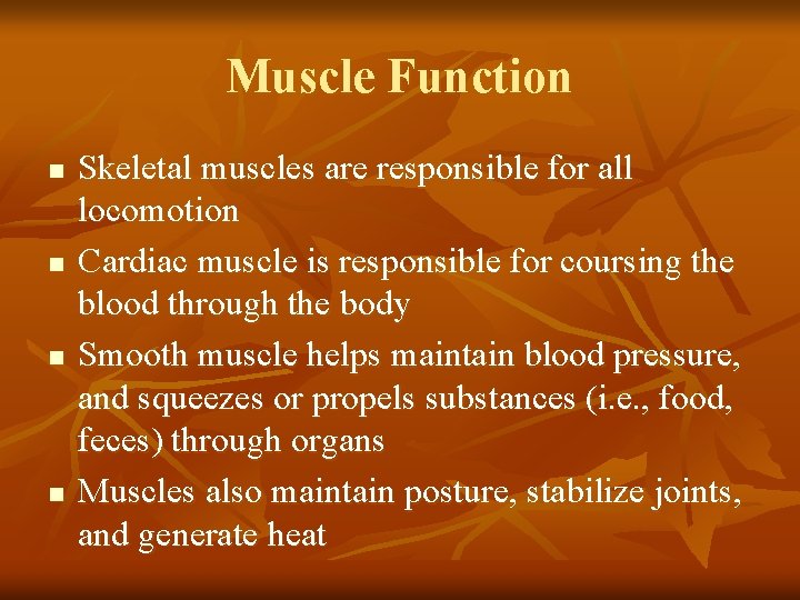 Muscle Function n n Skeletal muscles are responsible for all locomotion Cardiac muscle is