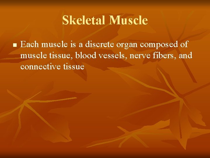 Skeletal Muscle n Each muscle is a discrete organ composed of muscle tissue, blood