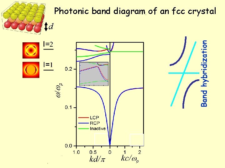 Photonic band diagram of an fcc crystal Band hybridization d 