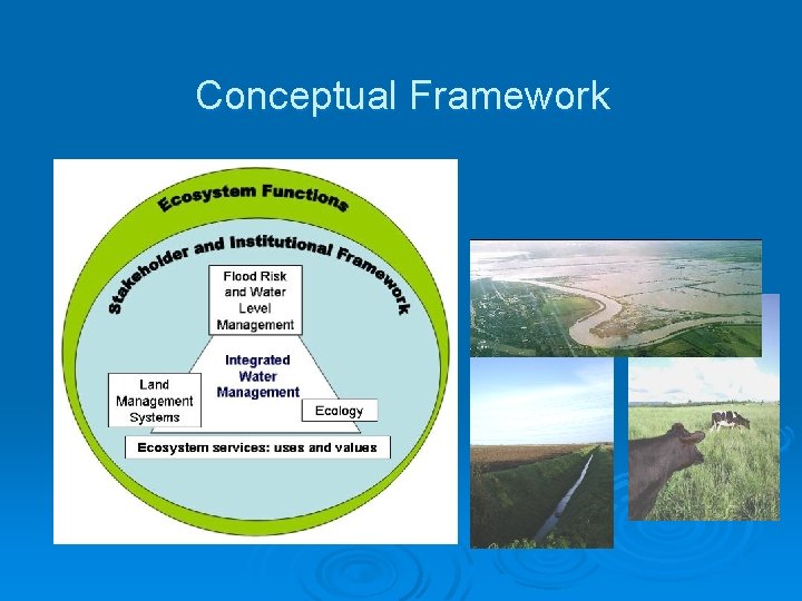 Conceptual Framework 