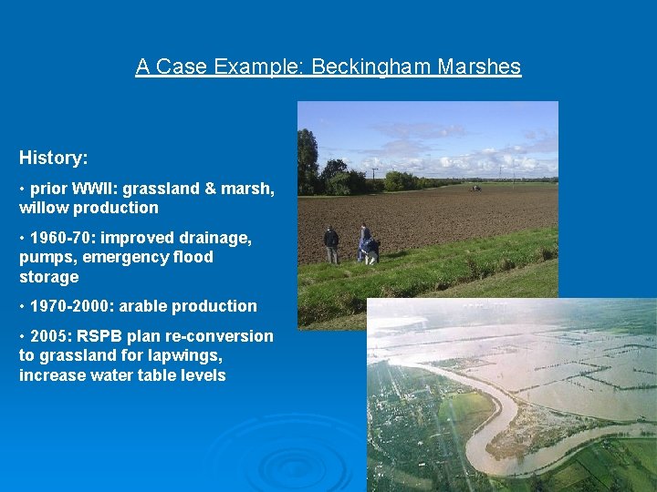 A Case Example: Beckingham Marshes History: • prior WWII: grassland & marsh, willow production