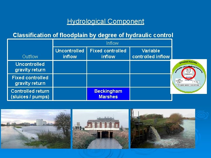 Hydrological Component Classification of floodplain by degree of hydraulic control Inflow Outflow Uncontrolled inflow