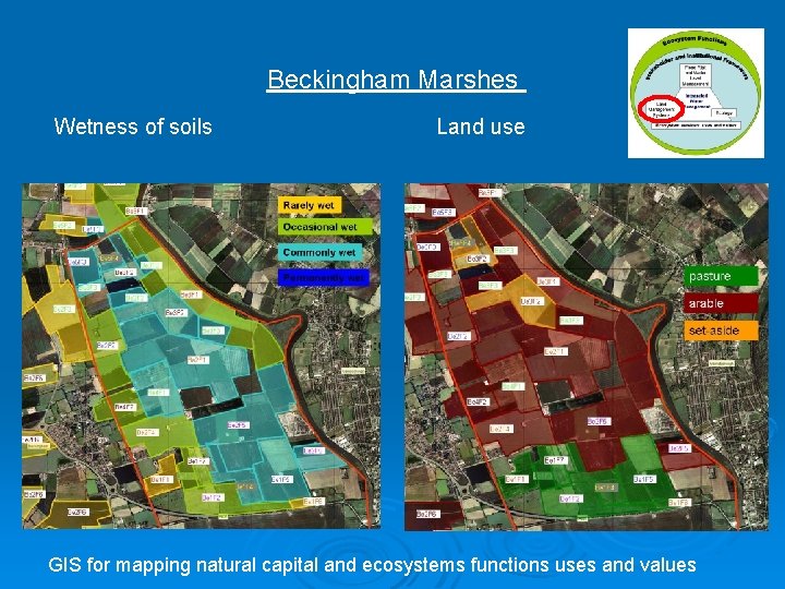 Beckingham Marshes Wetness of soils Land use GIS for mapping natural capital and ecosystems