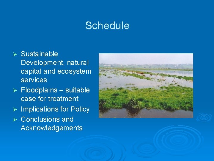 Schedule Sustainable Development, natural capital and ecosystem services Ø Floodplains – suitable case for