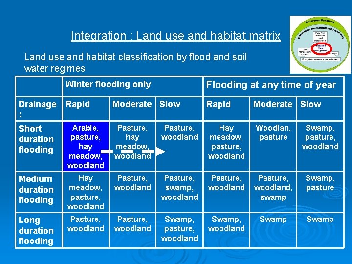 Integration : Land use and habitat matrix Land use and habitat classification by flood