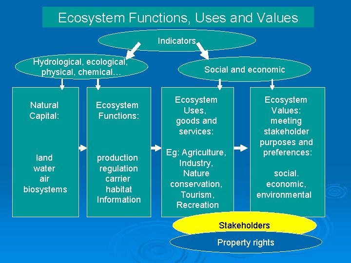 Ecosystem Functions, Uses and Values Indicators Hydrological, ecological, physical, chemical… Natural Capital: Ecosystem Functions: