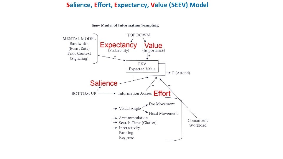 Salience, Effort, Expectancy, Value (SEEV) Model 