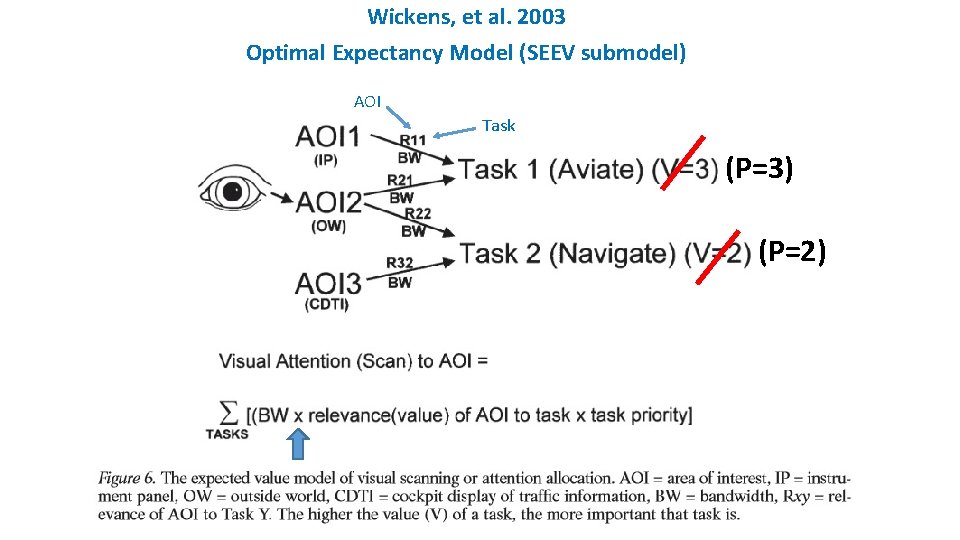 Wickens, et al. 2003 Optimal Expectancy Model (SEEV submodel) AOI Task (P=3) (P=2) 