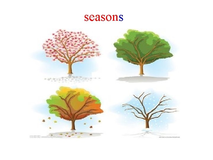 seasons 